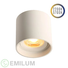 Lade das Bild in den Galerie-Viewer, LED Ceiling Spot 24V, 8W, 2200K/5700K, CRI90 (Tuneable White, CCT)