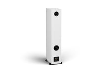 Lade das Bild in den Galerie-Viewer, SIGNUM 70