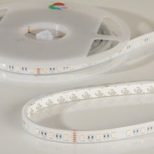 Lade das Bild in den Galerie-Viewer, Flex Stripe 24V, 19.2W, RGBW/2700K, CRI90, 60LED, IP68, 14,5mm
